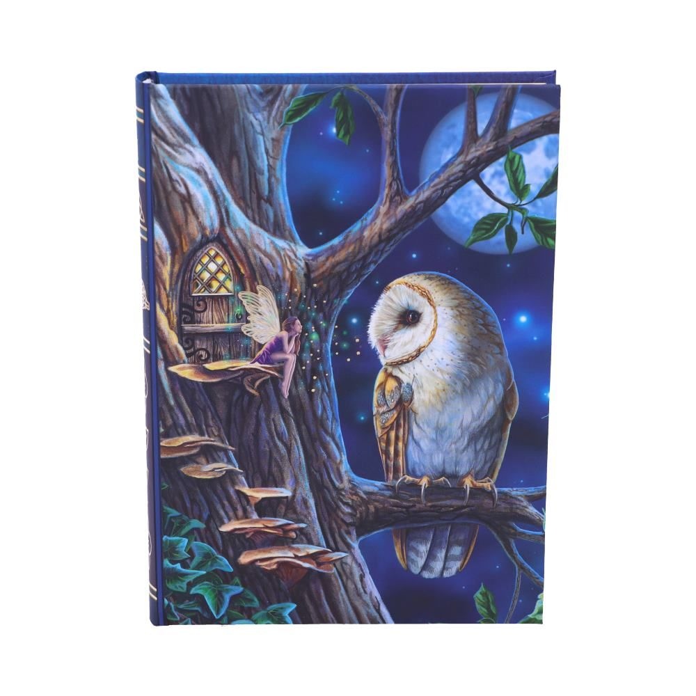 Nemesis Now - Fairy Tales Notitieboek - Multicolours